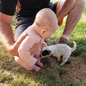 Meet your Posher, Ashlee